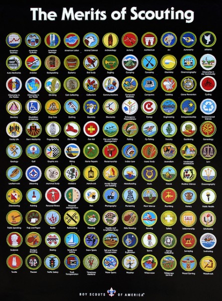 Merit Badge Picture Chart